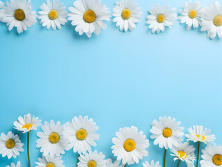 White Daisy chamomile flowers on soft Blue background with copy space for text