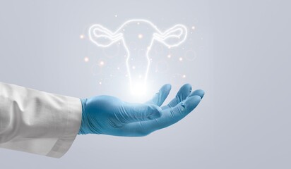 Doctor hands holding virtual human uterus or reproductive system
