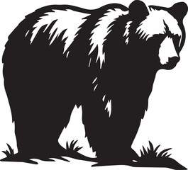 Amazing Bear Vector EPS 