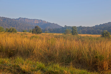 Typical dry season view of the Jim Corbett National Park. It is a national park in India located in...
