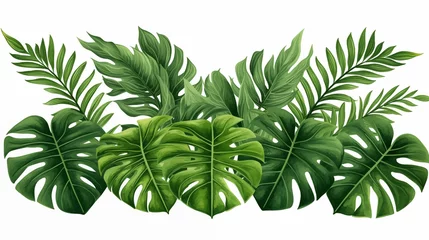Stickers pour porte Monstera Group of Green Leaves on White Background