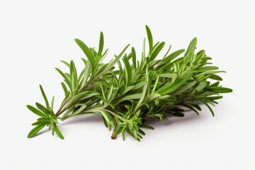 A bunch of fresh rosemary placed on a clean white surface. This image can be used to depict freshness, cooking, herbs, or natural ingredients