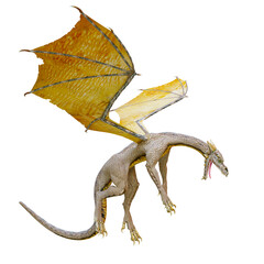 ドラゴン