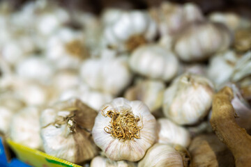 Many of garlic laid out in a crate for sale in a store on the counter
