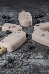 Fototapeta na wymiar cream ice cream with blueberries on a stick