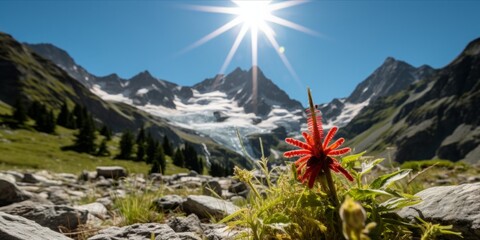 Record High Heatwave Shatters Zero Degree Limit, Rewriting Meteorological History in the Majestic Alps - obrazy, fototapety, plakaty