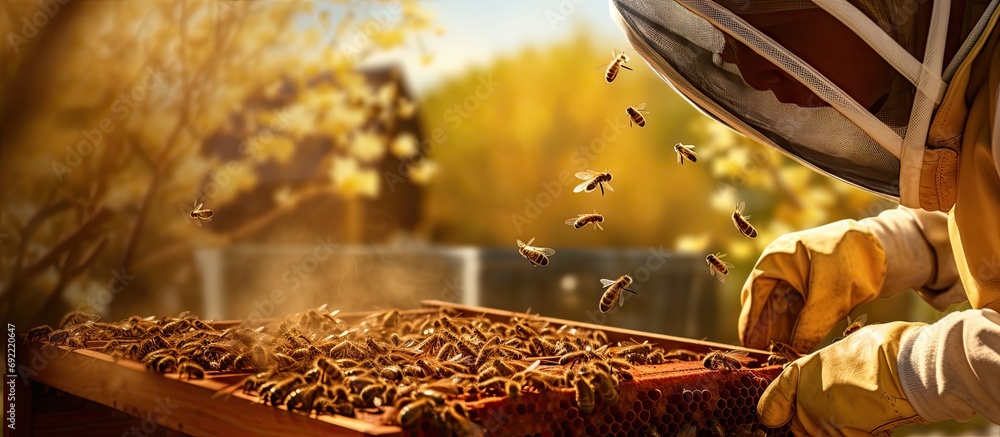 Poster beekeeper in a protective suit examines a frame with honeycombs he holds a wooden frame with honey c