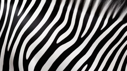 Foto op Aluminium zebra pattern. vector Animals background © © Raymond Orton