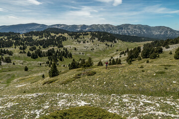 Fototapeta na wymiar Combe du Rancou , Montagne du Glandasse , Massif du Vercors , Drôme , Alpes