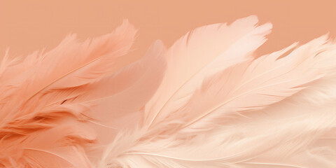 An peach fuzz color bird feathers gradient background without anything on. Color of the 2024 year. Copy space. - obrazy, fototapety, plakaty