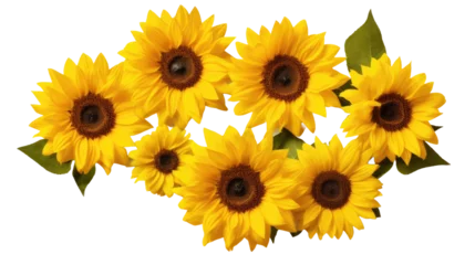Zelfklevend Fotobehang Sunflower flowers isolated on transparent background, Yellow flower isolated Photo summer flowers on white background © Pixel Town
