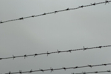 barbed wire, in the photo there is metal barbed wire against the background of a gray sky
