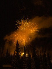 ornage gold yellow explosive fireworks over trees in forest on new year's eve festivities in British Columbia colorful explosion of celebratory fireworks celebrating new years eve night time display 