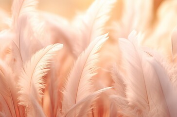 background full of feathers, color peach fuzz, color of 2024