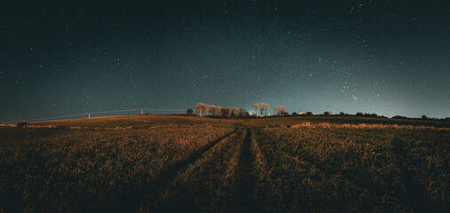 The stars at night over the field - obrazy, fototapety, plakaty