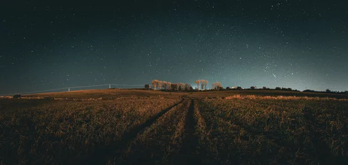 Papier Peint photo Lavable Prairie, marais The stars at night over the field