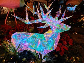 christmas tree decoration Lights, Christmas night colors and beautiful reindeer.