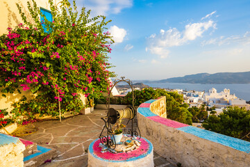 Terrace of typical whitte house with blue windows and flowers and cacti plants in Plaka village,...