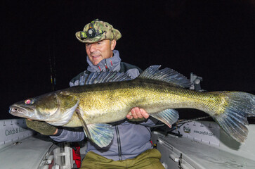 September zander night fishing trophy in Sweden - 692239264