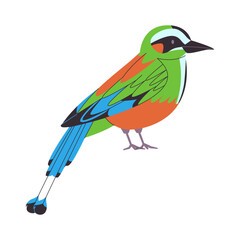 colorful small bird turquoise browed motmot species with long tail pretty cute nature animal wildlife creature