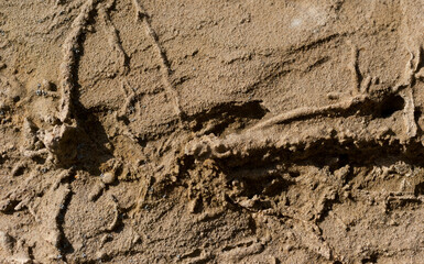 Sandstone. Petrified sand in a quarry. The structure of the stone.