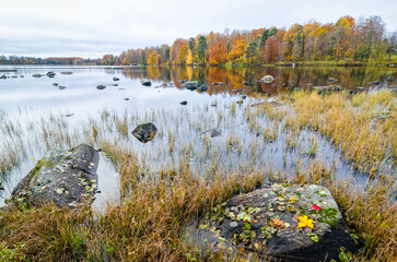 Begining of November near the Swedish lake - 692239814