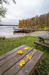 Autumn morning by the swedish lake - 692239860