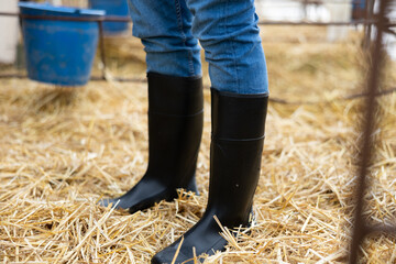 Protective shoes. Close up of rubber boots standing on ground