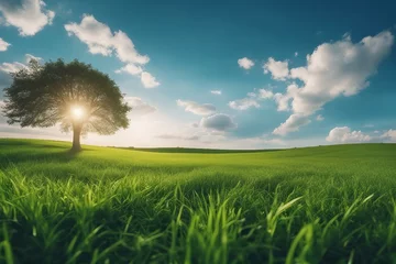 Fotobehang Panoramic natural landscape with green grass field and blue sky with clouds with curved horizon line. Alone tree in green grass © FrameFinesse