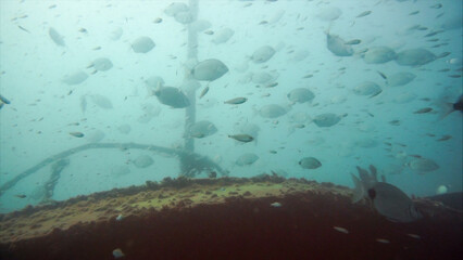 NC Wreck Diving