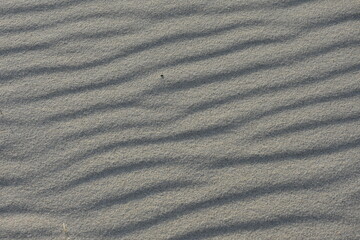 tekstura piasku na plaży nadmorskiej - obrazy, fototapety, plakaty
