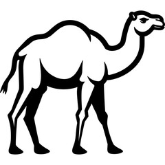 dromedary camel logo desert animal black outline silhouette vector
