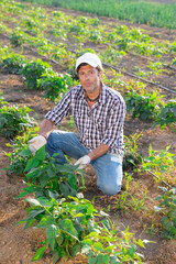 Portrait of satisfied man demonstrating sprouts of bell peppers on beds of a field