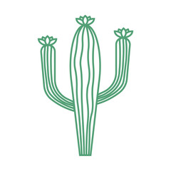 Cactus Line