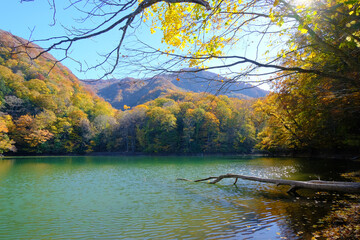 白神山地の麓にある十二湖の紅葉　鶏頭場の池　青森県