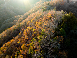 夕日に照らされた紅葉した山々　空撮