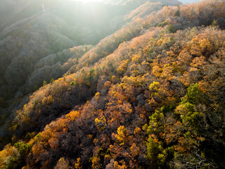 夕日に照らされた紅葉した山々　空撮