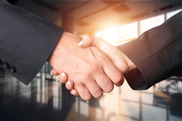 Happy business manager handshaking client in office.