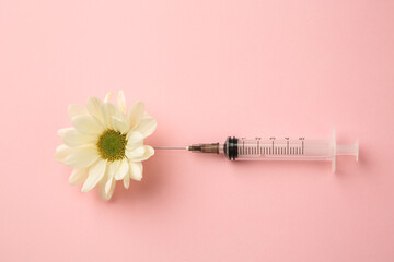 Medical syringe and beautiful chrysanthemum flower on pink background, top view