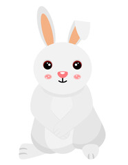 rabbit