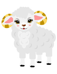sheep
