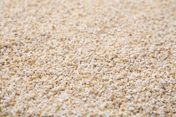 Raw barley groats as background, closeup view