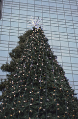 looking up at tall christmas tree with star on top
