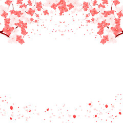 Sakura Flowers Frame. Floral Bloom Border. Spring Flower Blossom Background