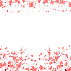 Sakura Flowers Frame. Floral Bloom Border. Spring Flower Blossom Background