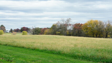 The colorful and beautiful leaves on the trees in autumn