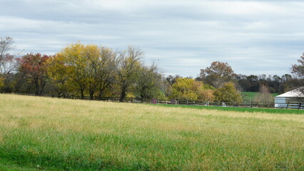 The colorful and beautiful leaves on the trees in autumn