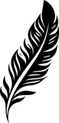 Maori  Feathers