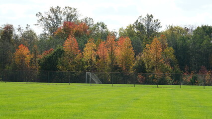 The colorful and beautiful leaves on the trees in autumn