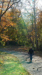 The beautiful autumn view with the colorful leaves and reflection in water